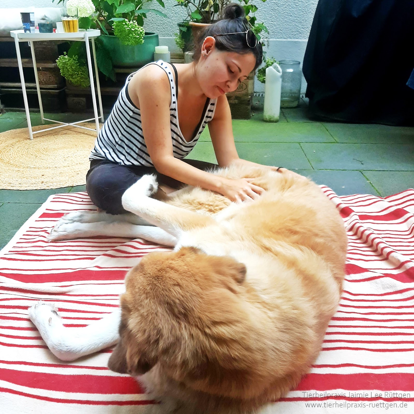 Tierheilpraxis & Tierphysiotherapie Jaimie Lee Rüttgen