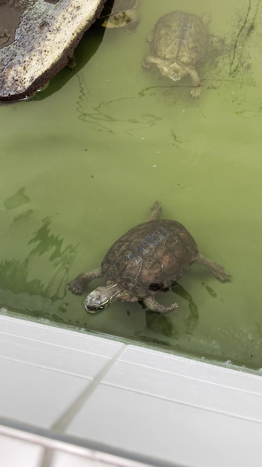 Tierheim Berlin gGmbH in Berlin – Praxisfoto 1