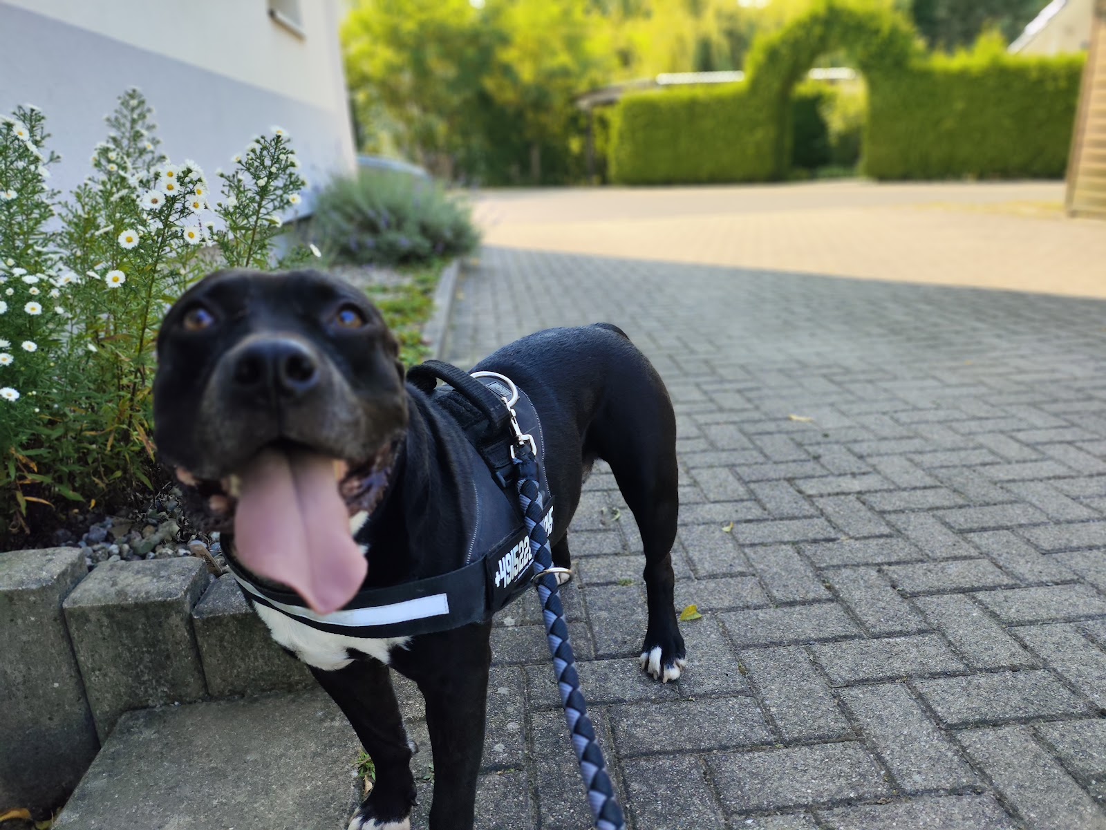 Tierheim Berlin gGmbH in Berlin – Praxisfoto 4