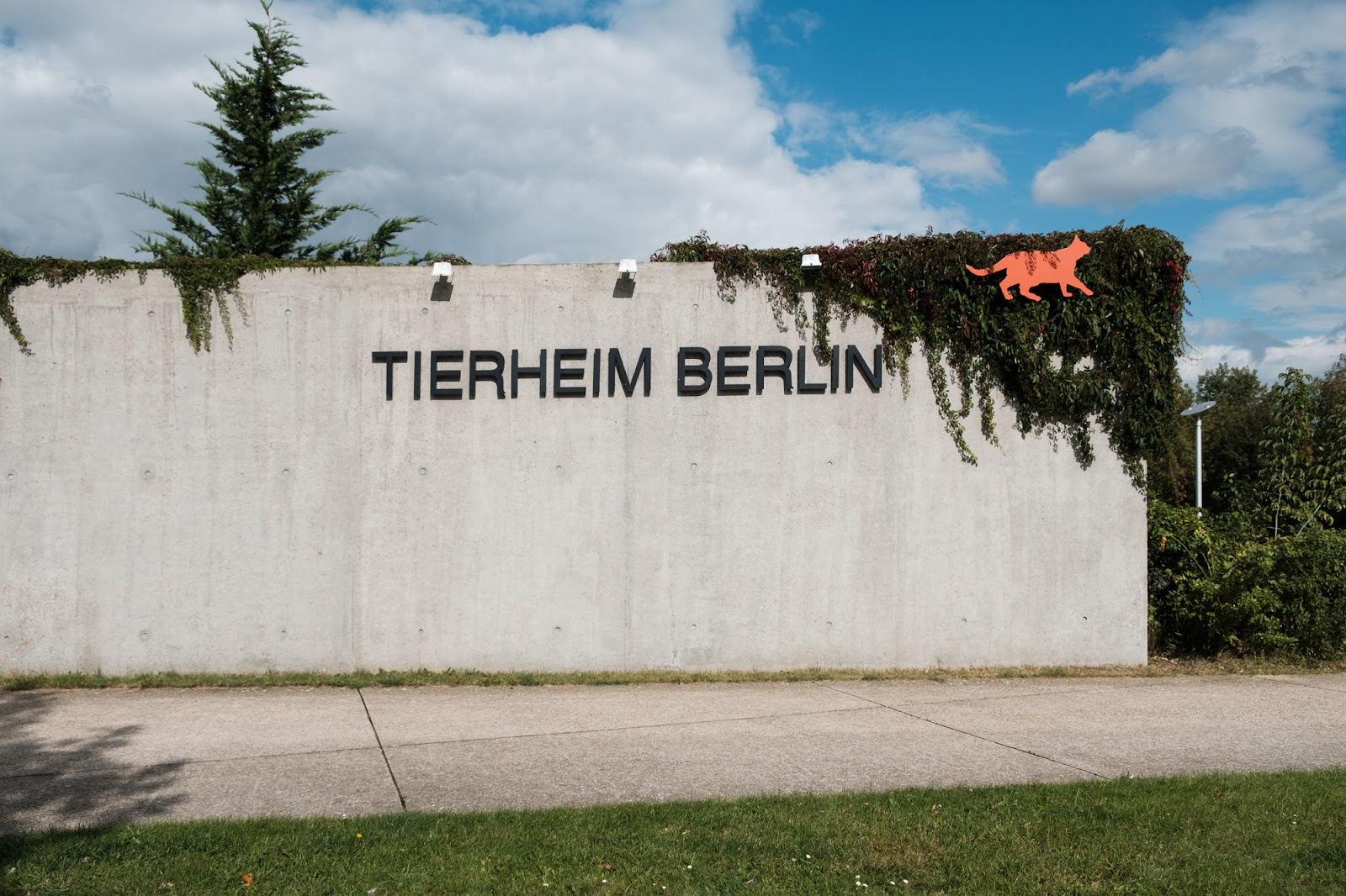 Tierheim Berlin gGmbH in Berlin – Praxisansicht