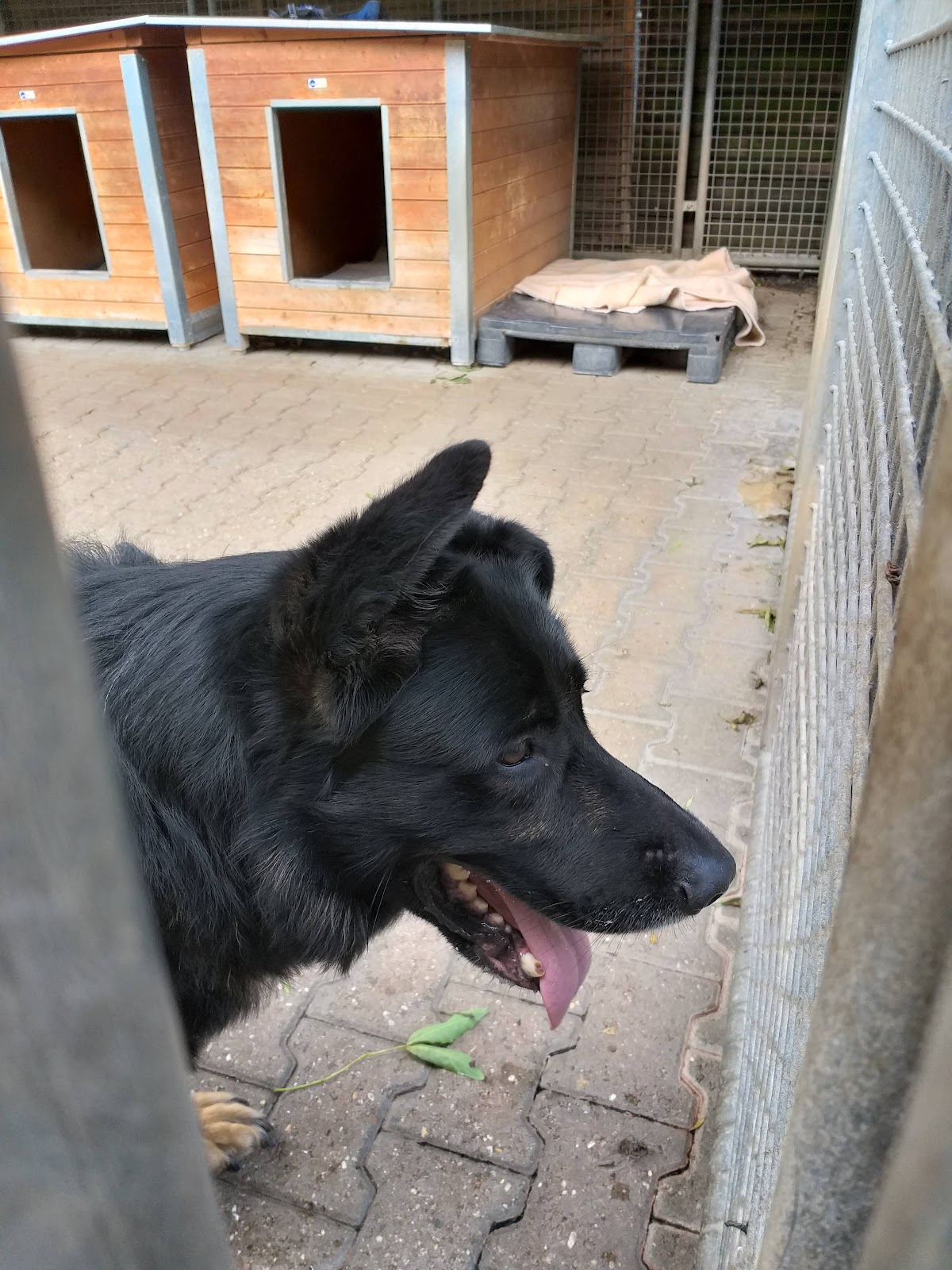 Tierheim Dellbrück in Köln – Praxisfoto 1