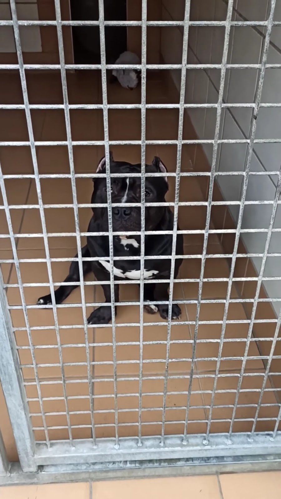 Tierheim Dellbrück in Köln – Praxisfoto 2