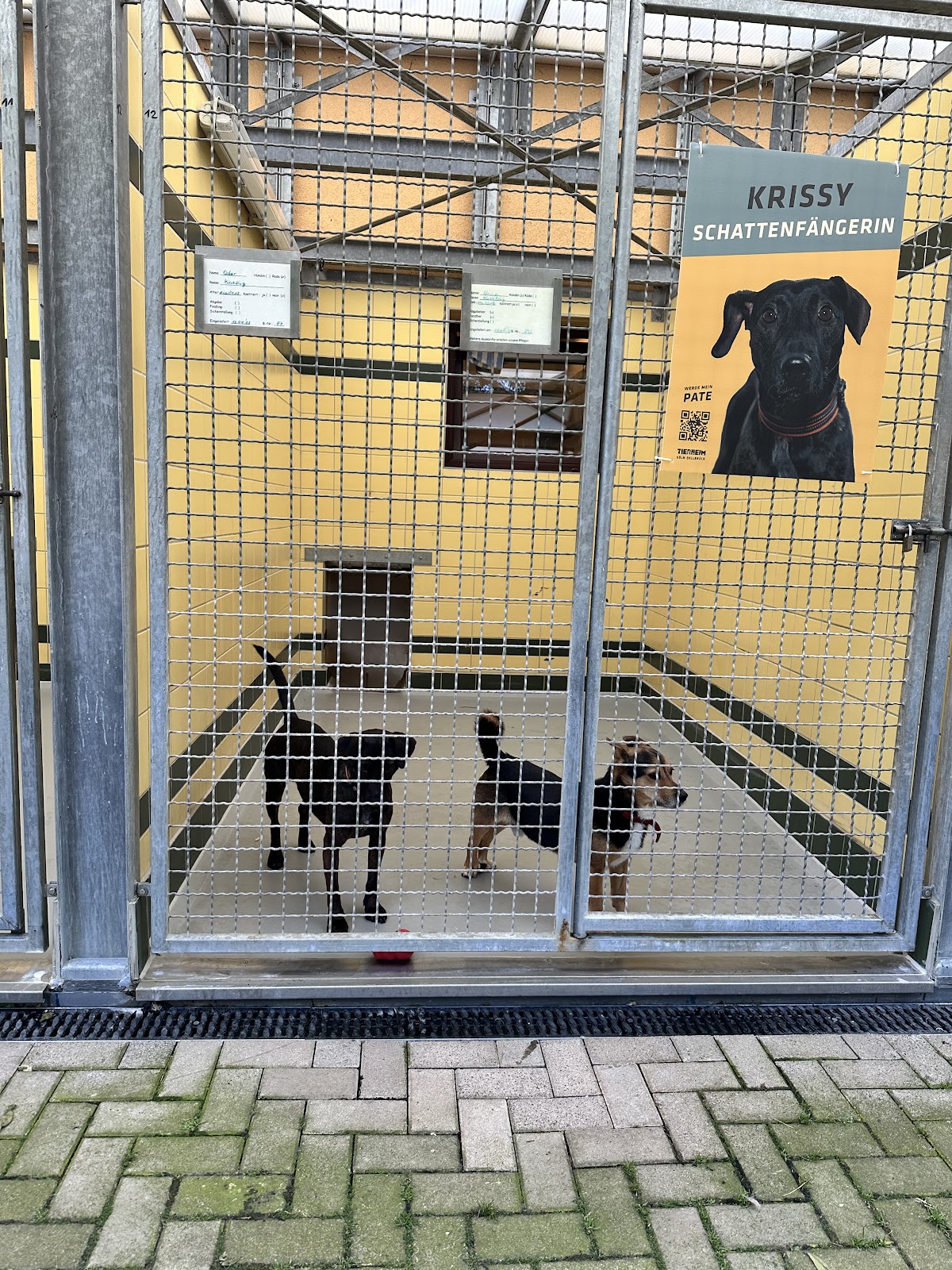 Tierheim Dellbrück in Köln – Praxisansicht