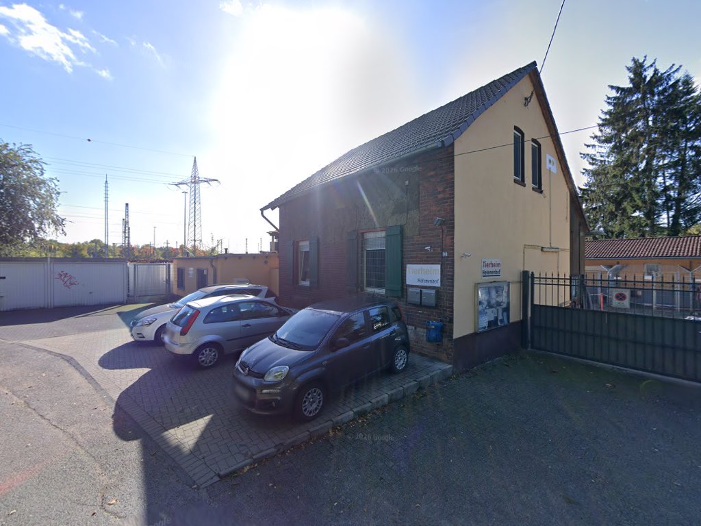 Tierheim Helenenhof-Hürth/Tierschutzverein in Hürth – Praxisfoto 4