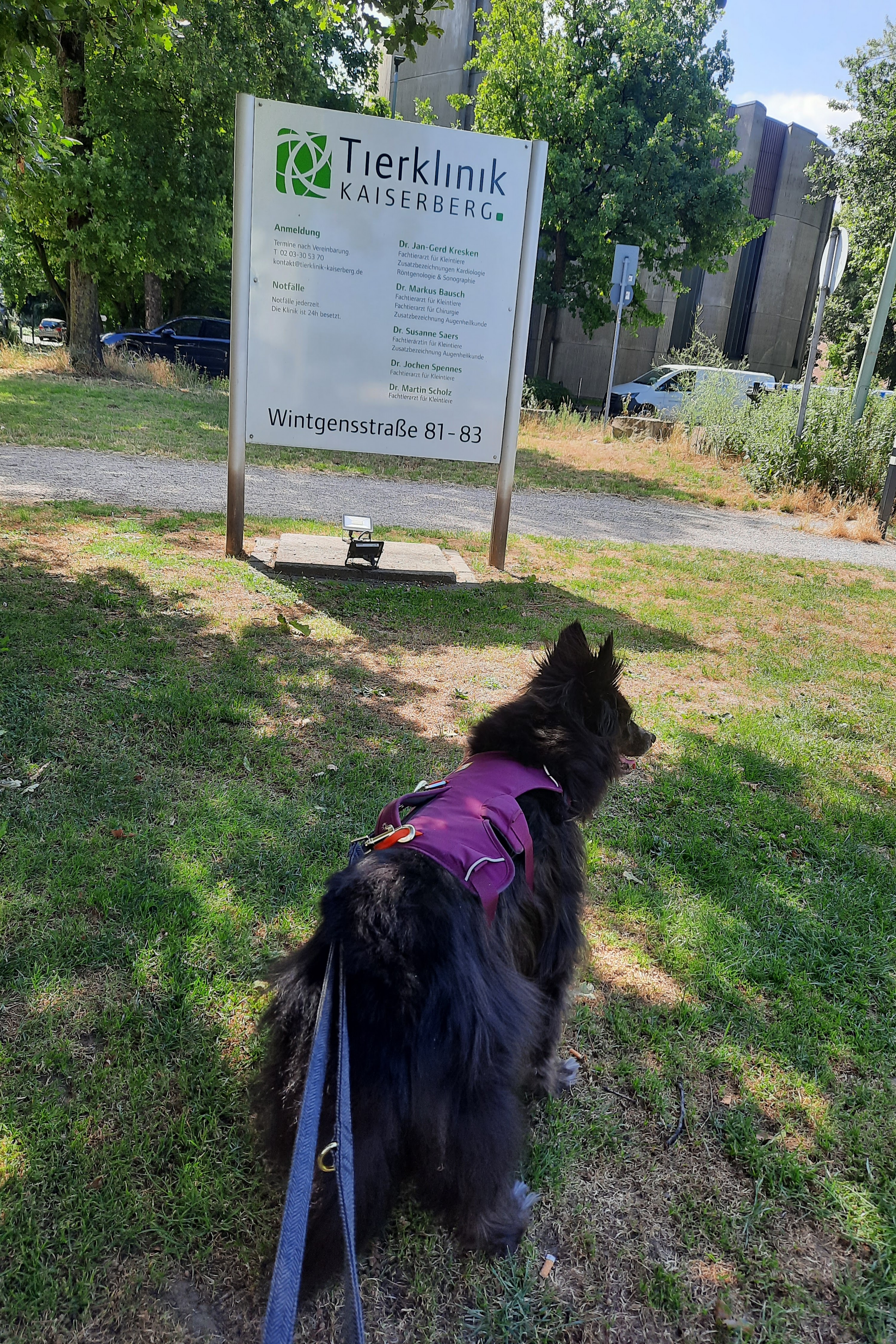 Tierklinik am Kaiserberg - 24h Notdienst – Bild