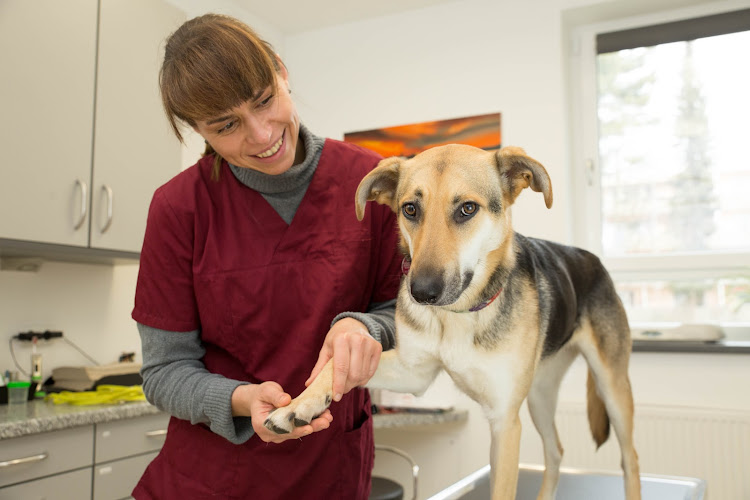 Tierklinik Am Stadtpark GmbH