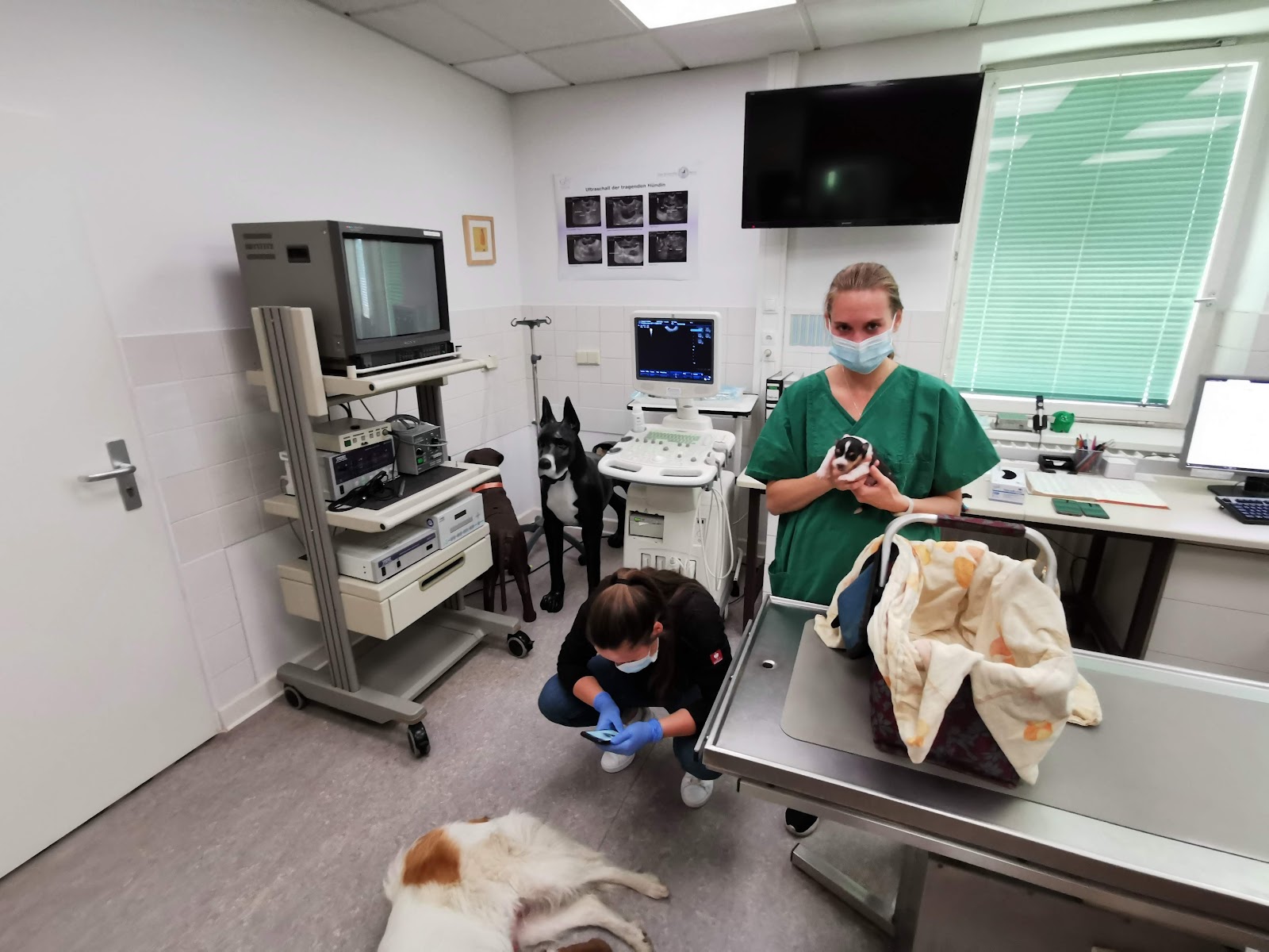 Tierklinik für Fortpflanzung - Freie Universität Berlin in Berlin – Praxisansicht