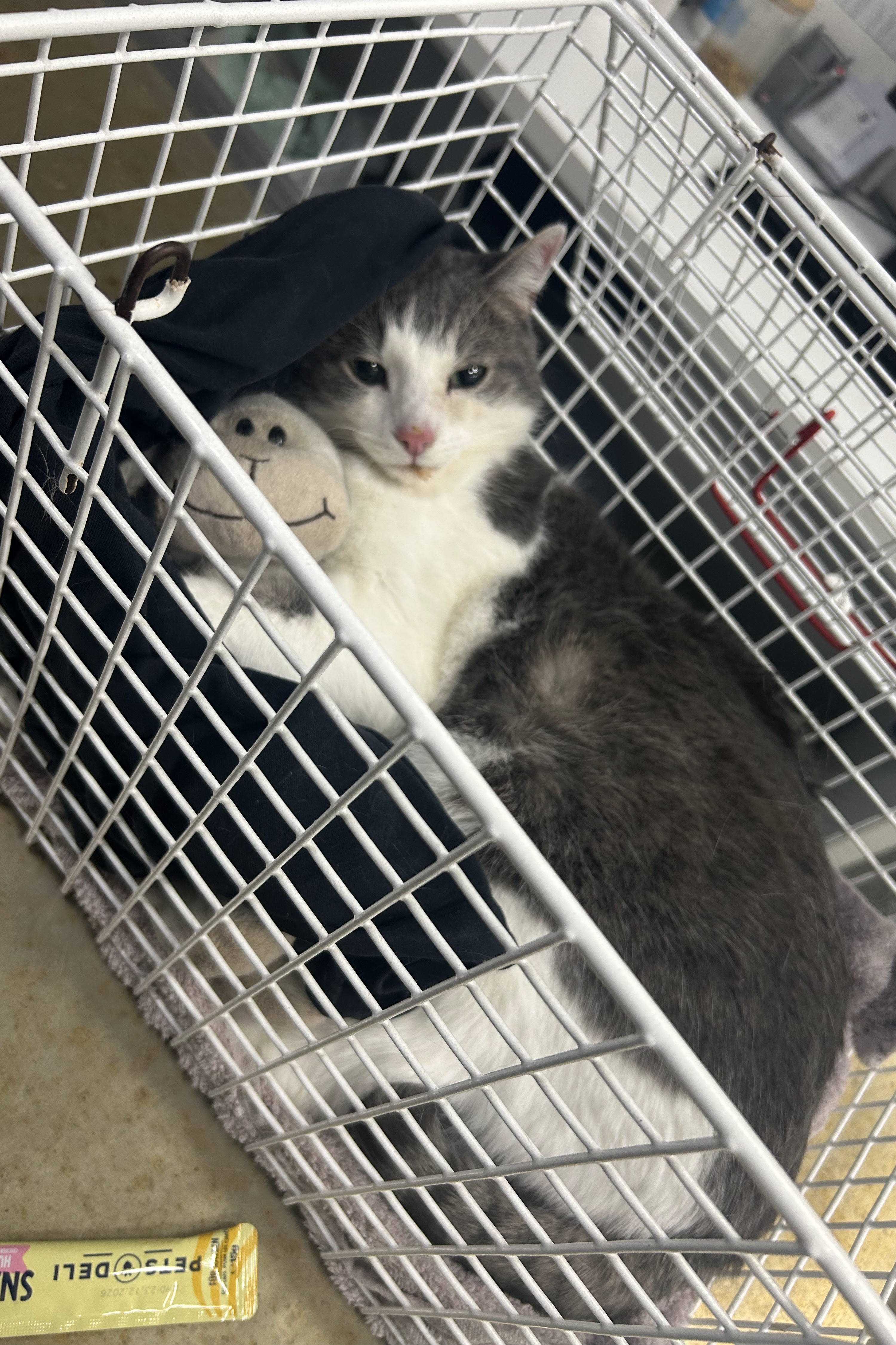Tierklinik Ismaning – Bild