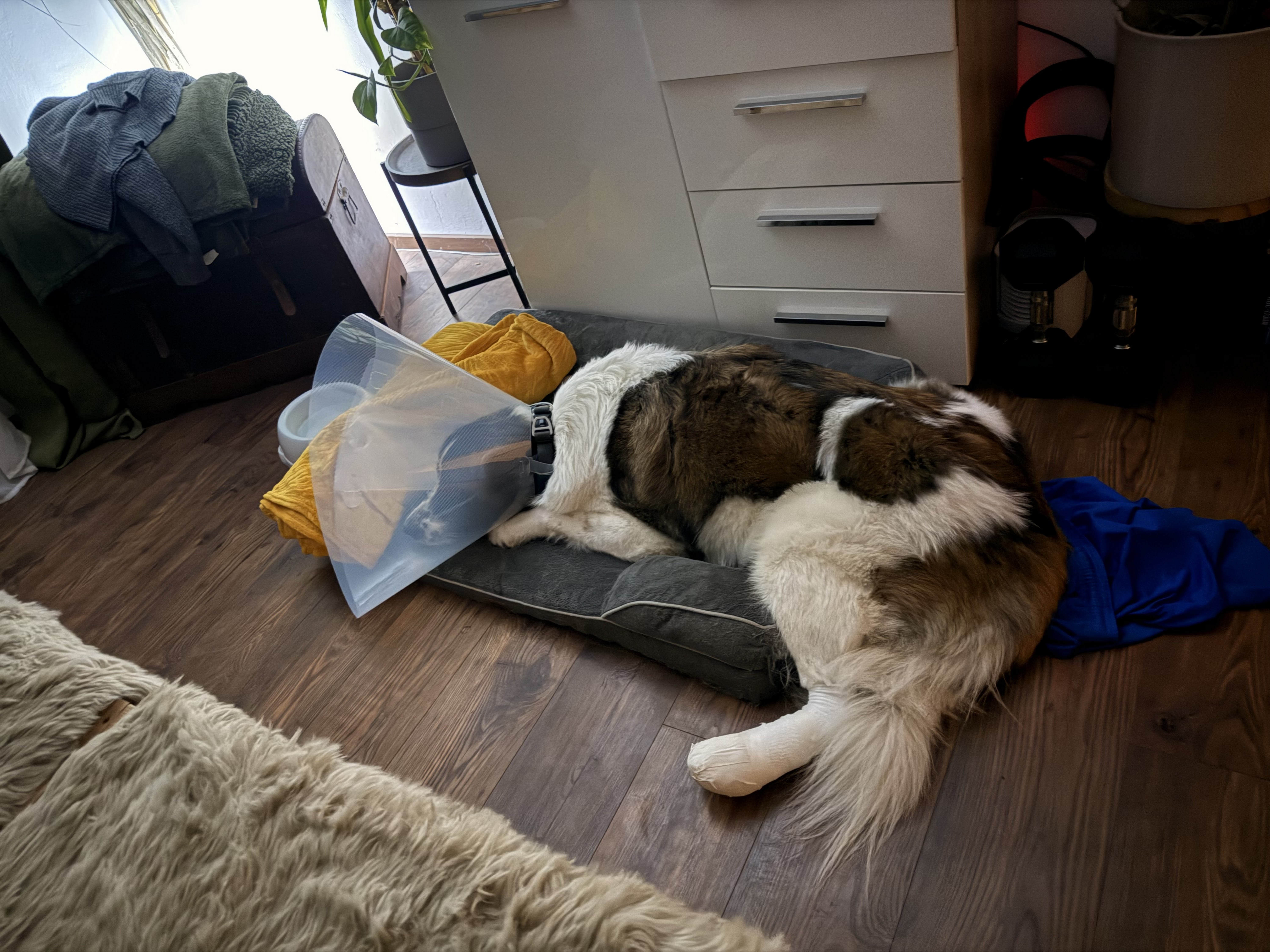 Tierklinik Ismaning – Bild