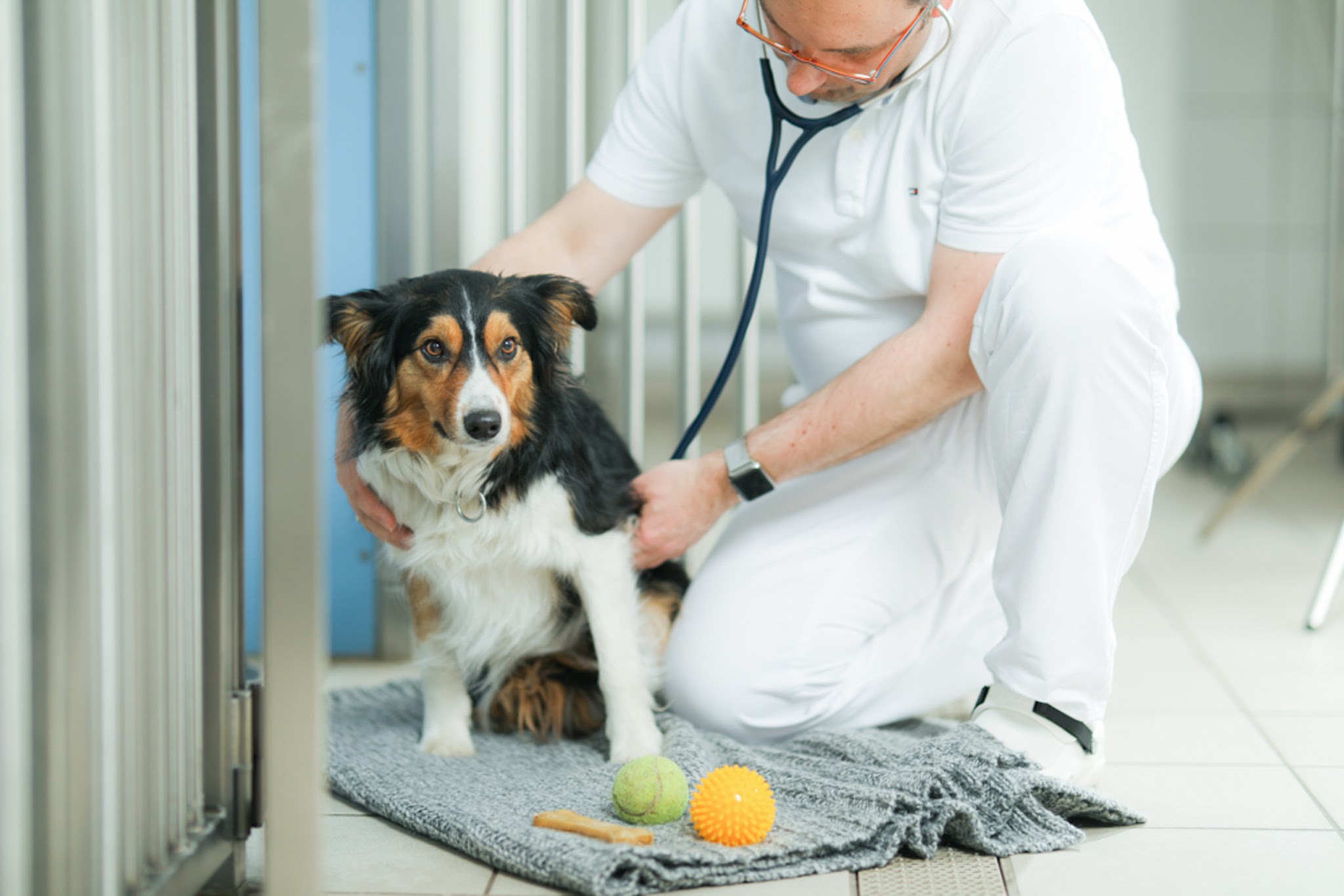 Tierklinik Ismaning – Bild