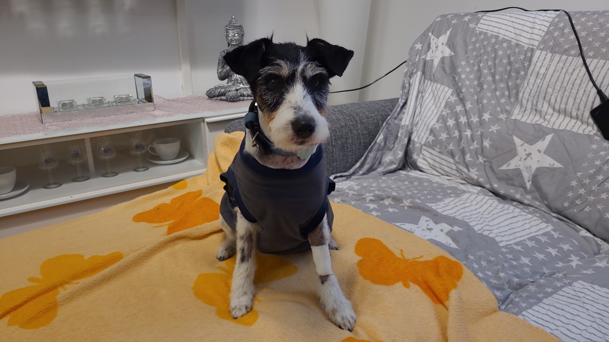 Tierklinik Ismaning – Bild