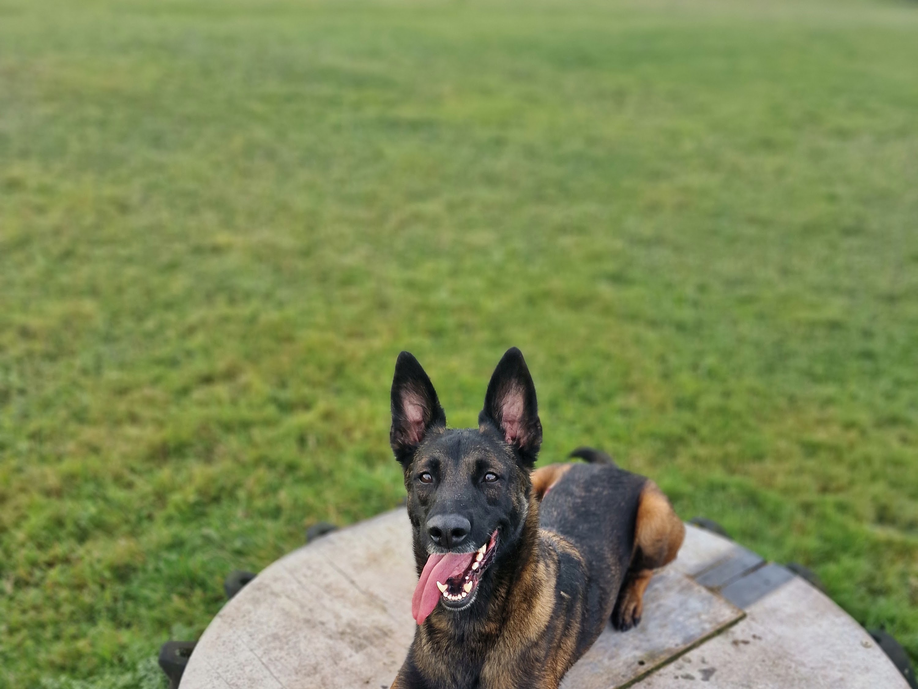 Tierklinik Oberhaching – Bild