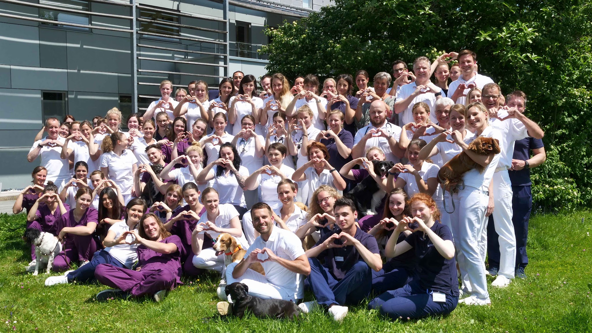Tierklinik Oberhaching – Bild