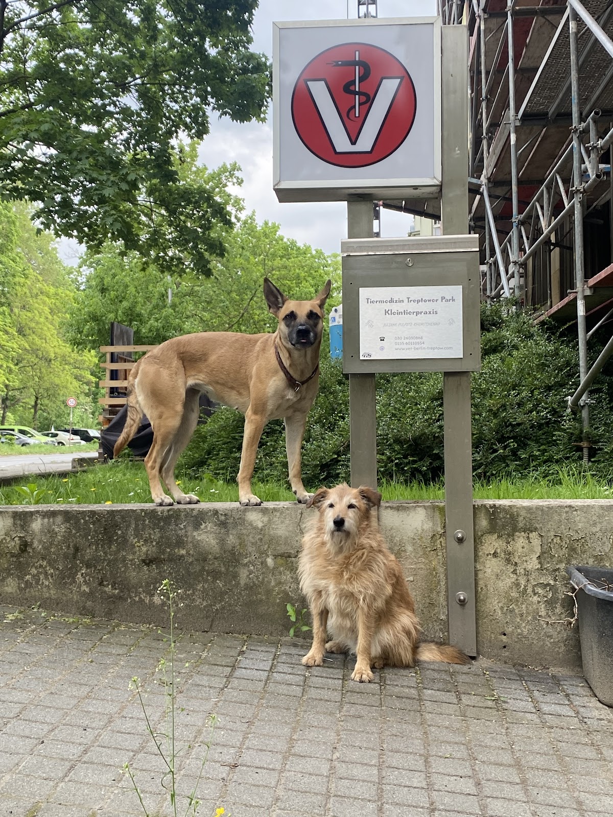 TIERMEDIZIN TREPTOWER PARK in Berlin – Praxisfoto 3