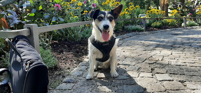 Tiermedizinische GmbH - Tierschutz München