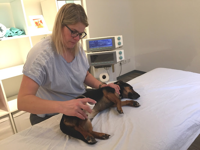 Tierphysiotherapie & Hundepension Silke Engel