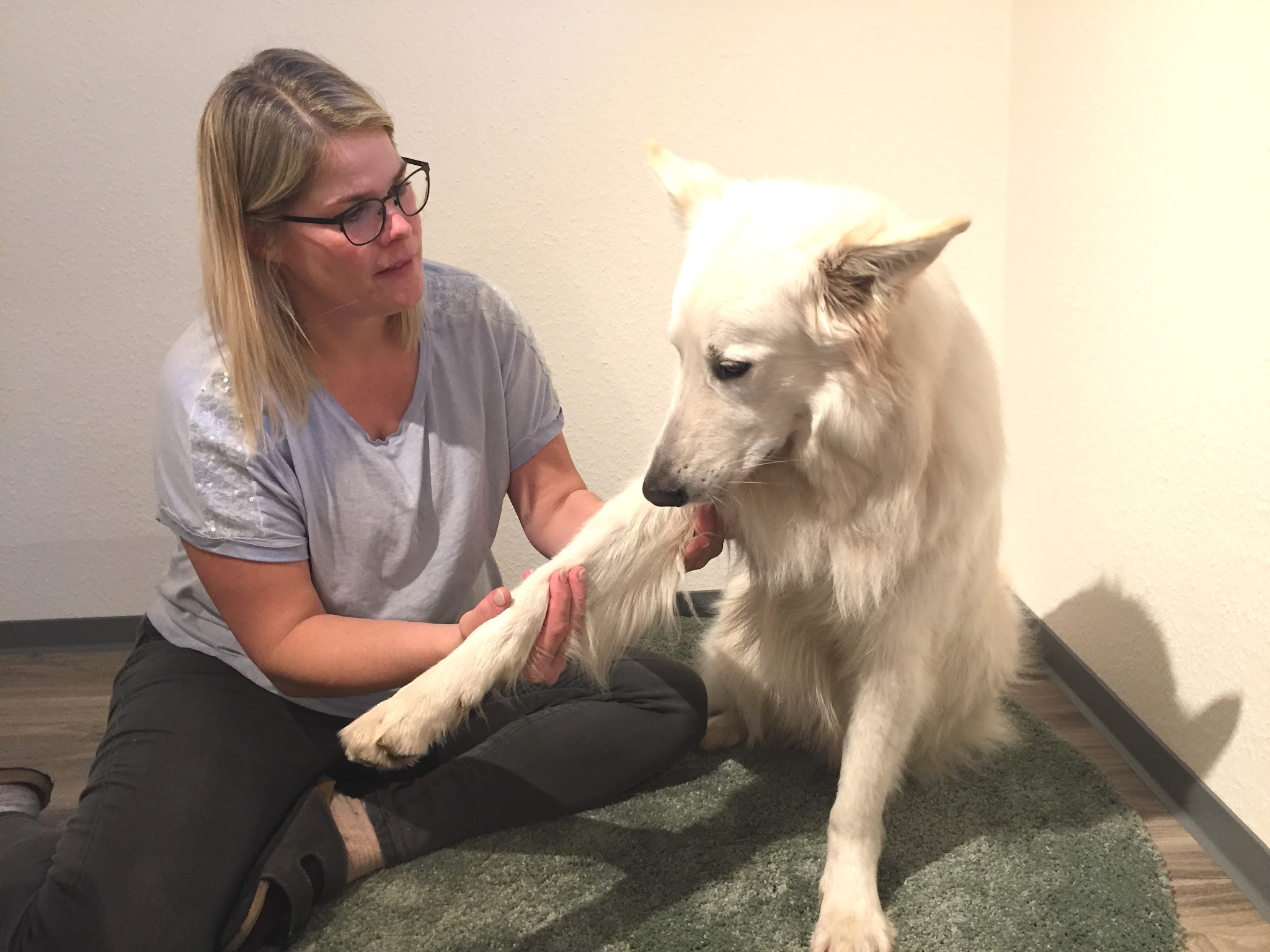 Tierphysiotherapie & Hundepension Silke Engel – Bild
