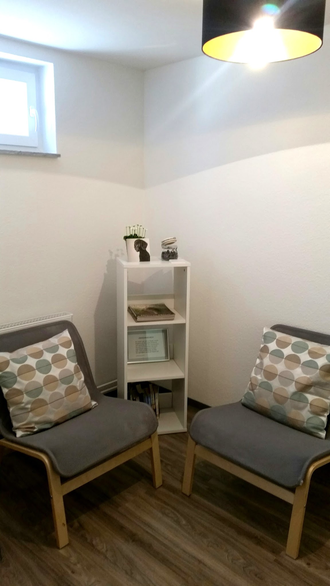 Tierphysiotherapie & Hundepension Silke Engel – Bild