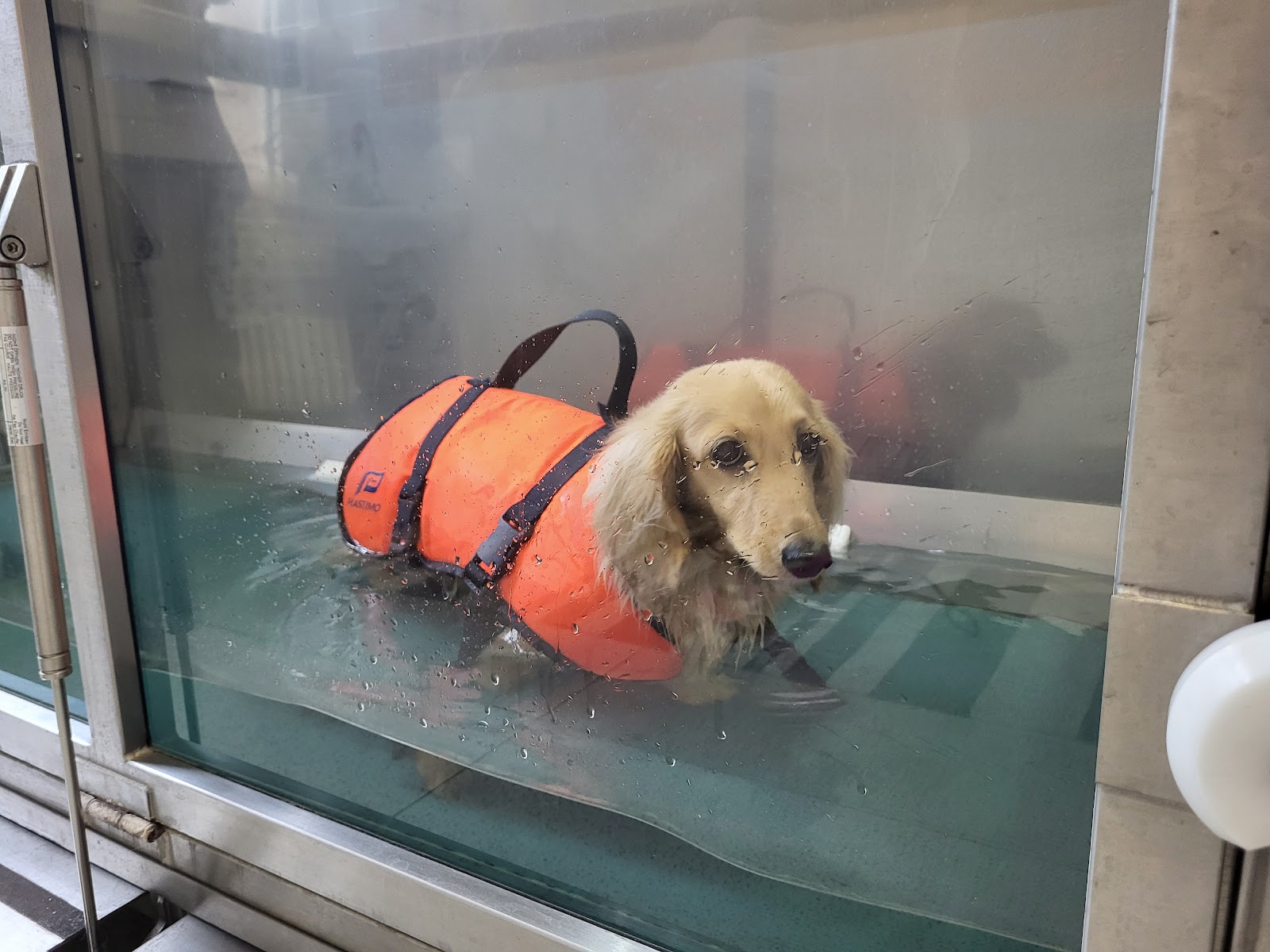 TierReha Dr. Alexander in Berlin – Praxisansicht