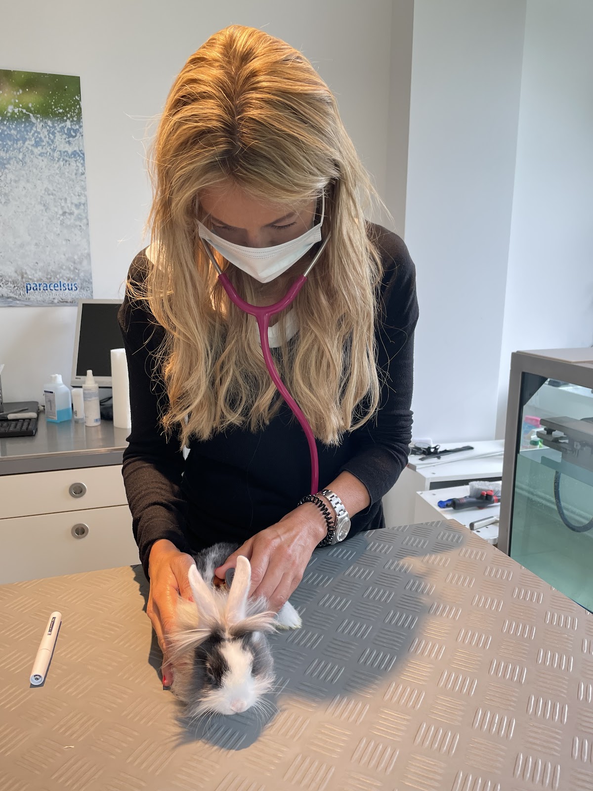 Tiertherapie Nicola Massi in Rösrath – Praxisfoto 1