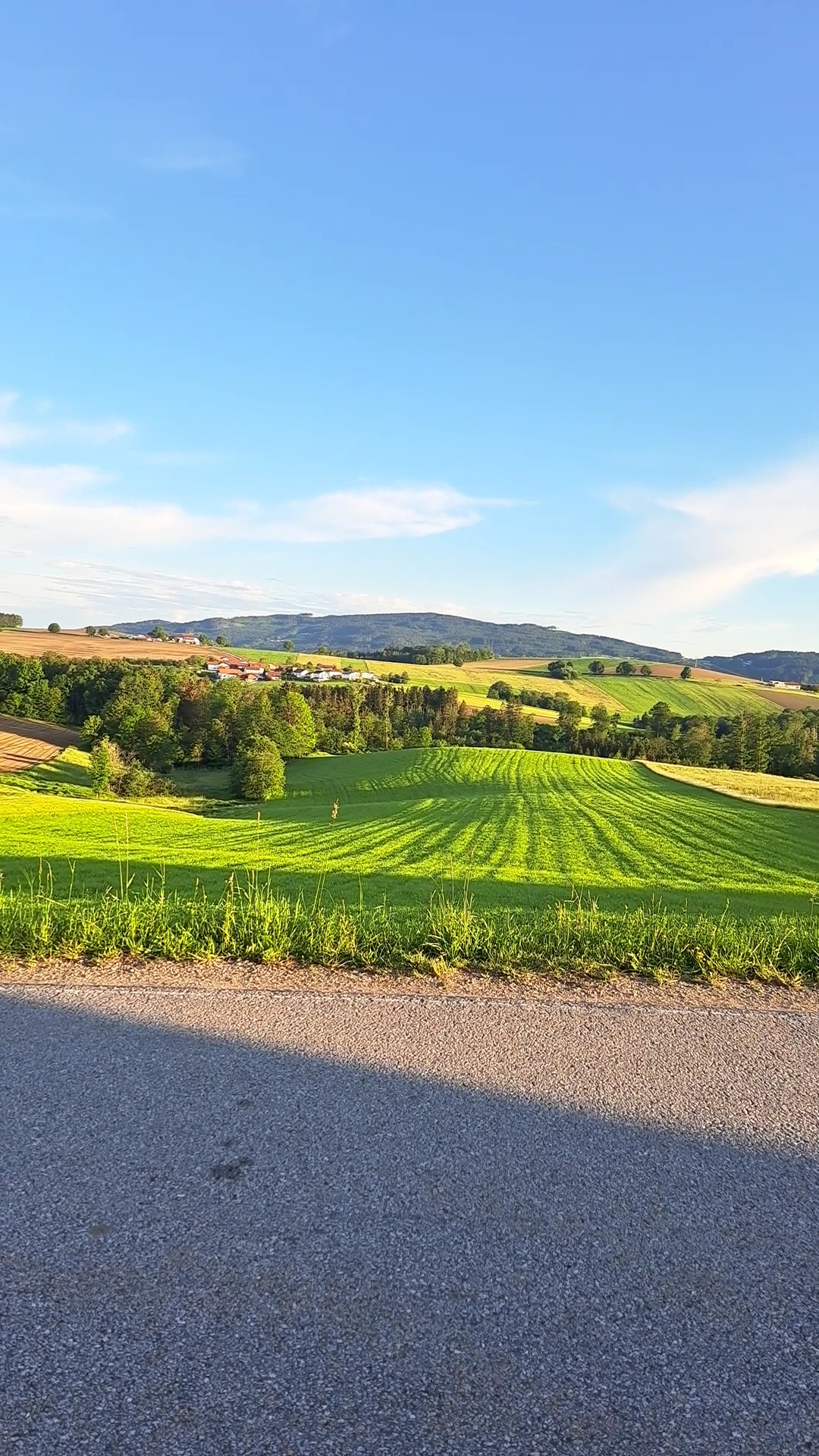Vet Praxis Bayerwald – Bild