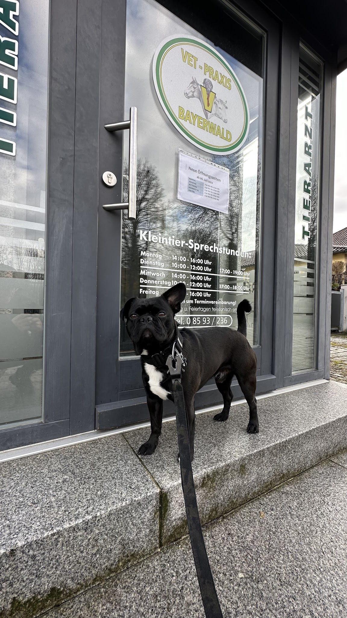 Vet Praxis Bayerwald – Bild