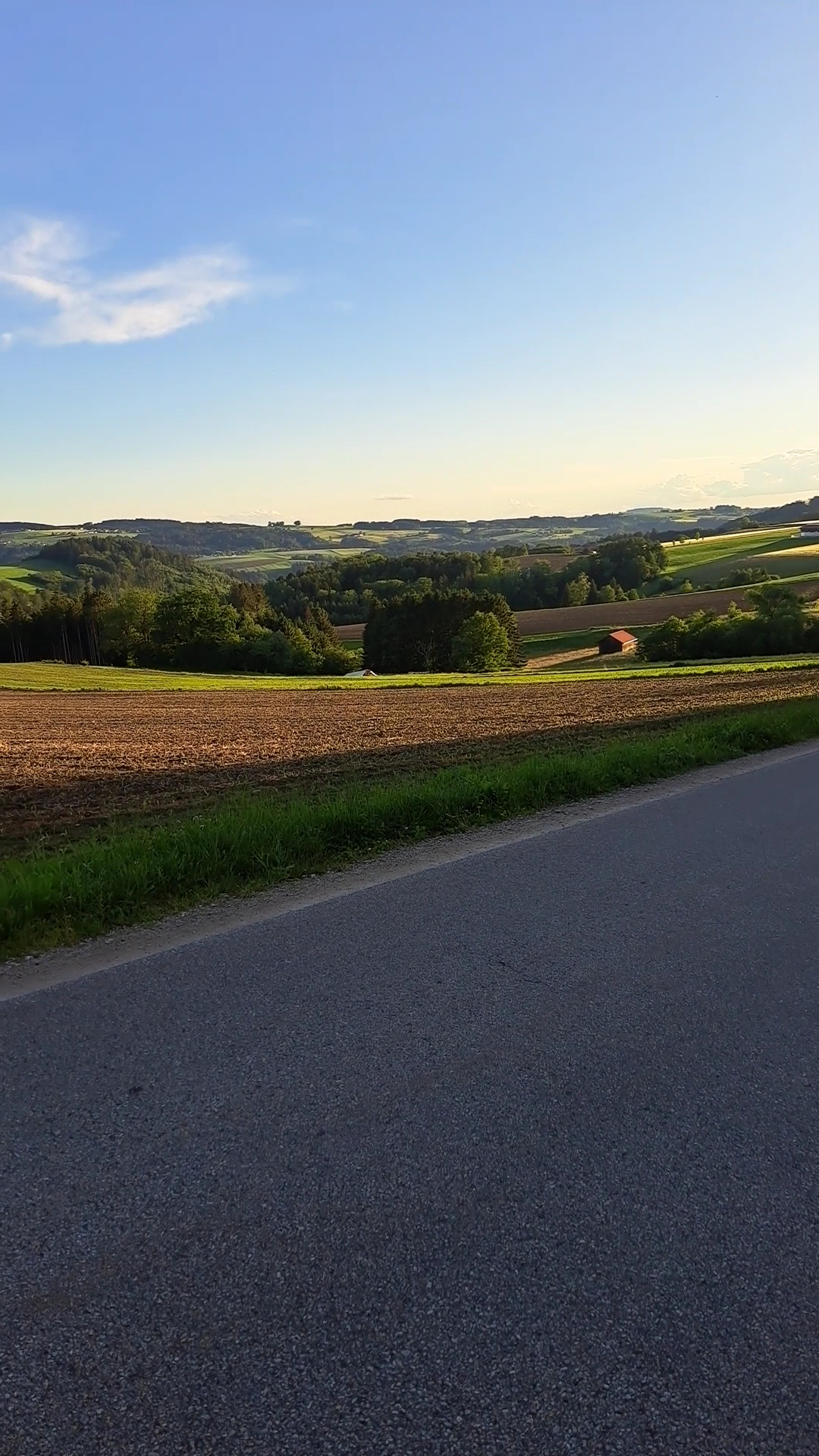 Vet Praxis Bayerwald – Bild