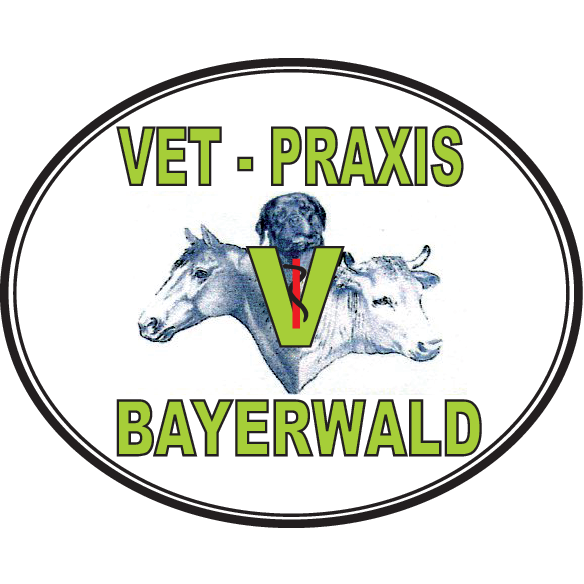 Vet Praxis Bayerwald – Bild