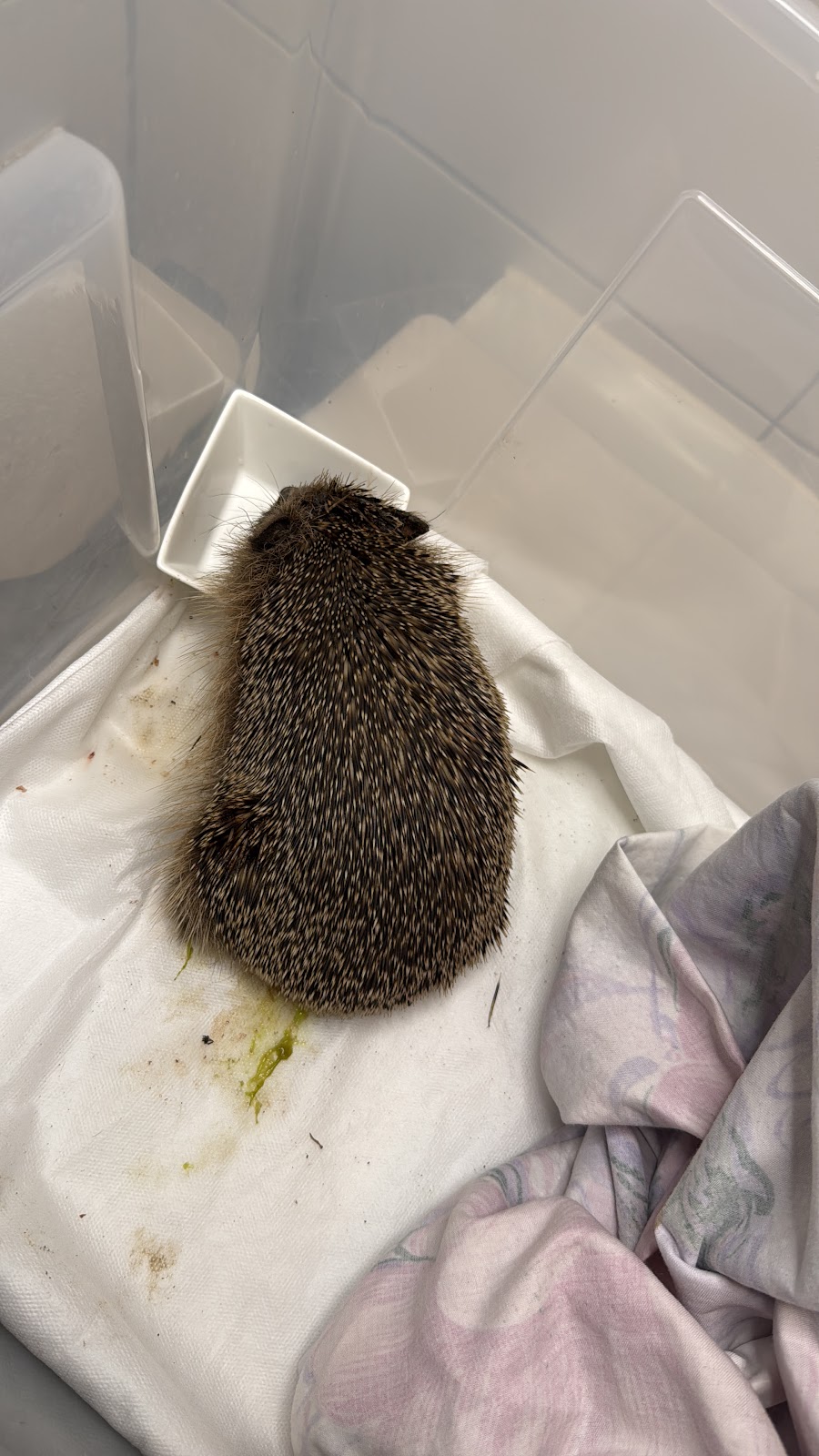 Vet Zentrum Köln – Tierärztliche Klinik für Kleintiere, 24 Stunden Notdienst in Lindenthal – Foto aus einer Patientenbewertung