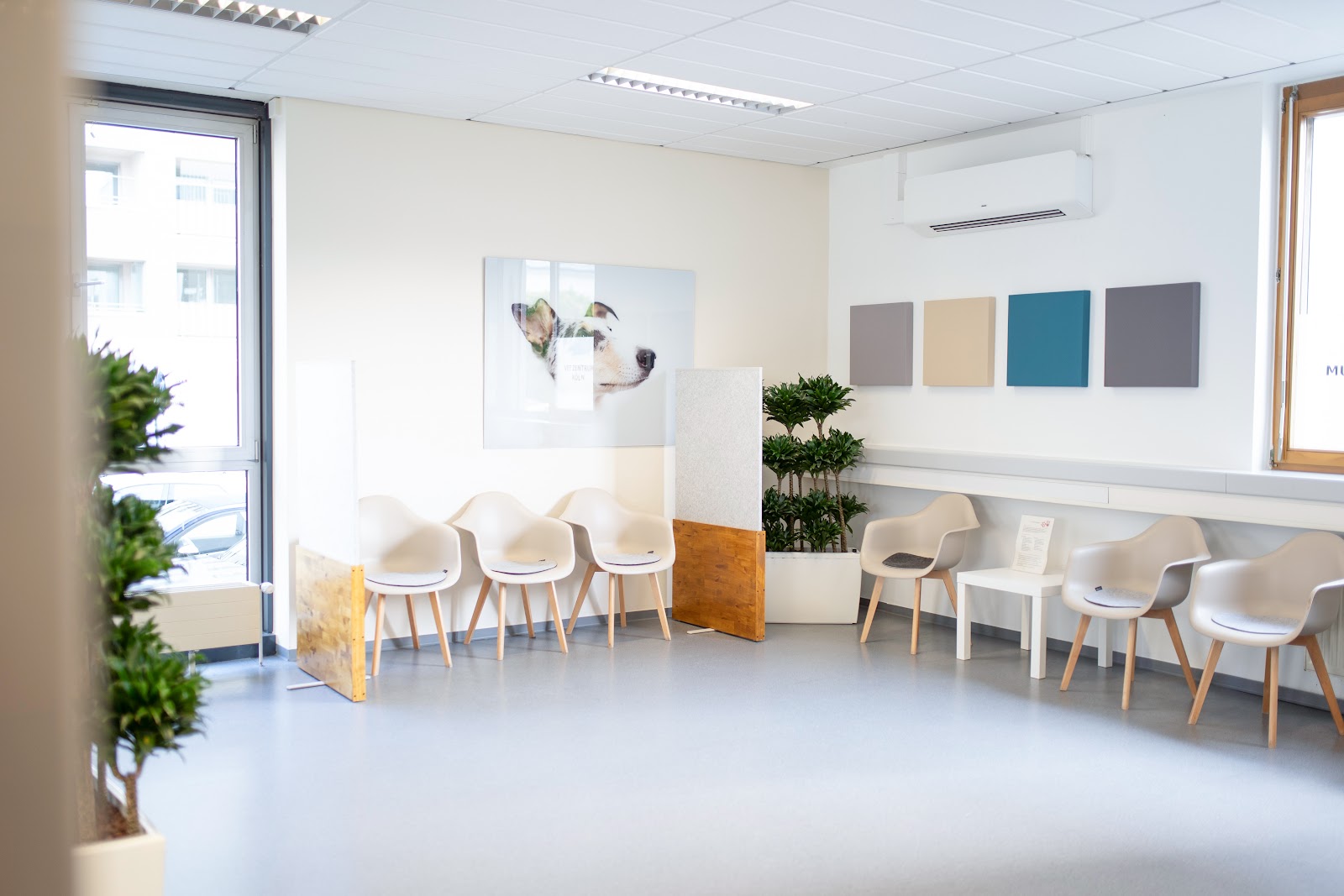Vet Zentrum Köln – Tierärztliche Klinik für Kleintiere, 24 Stunden Notdienst in Lindenthal – Praxisfoto 6
