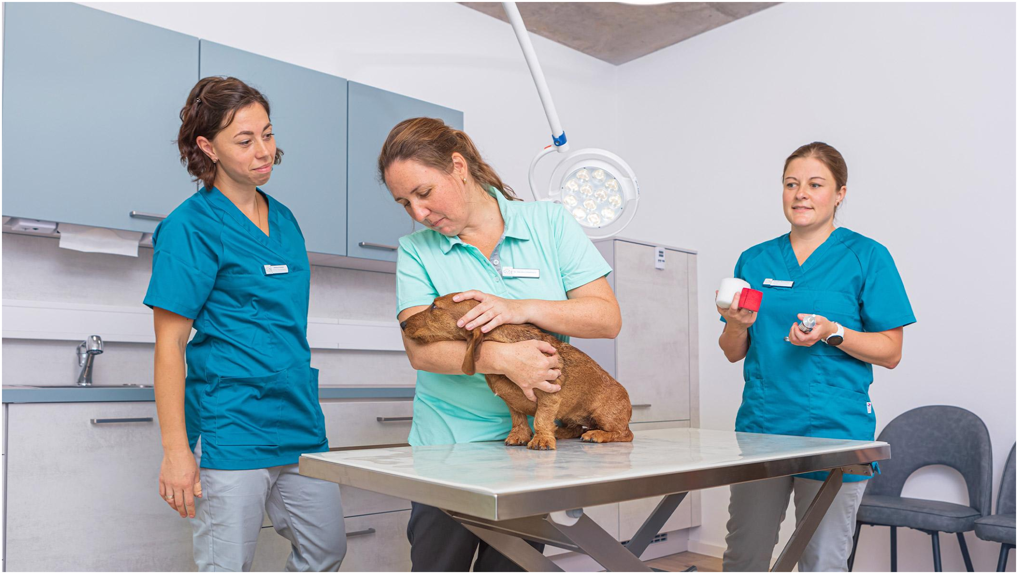 VET-Zentrum – Bild