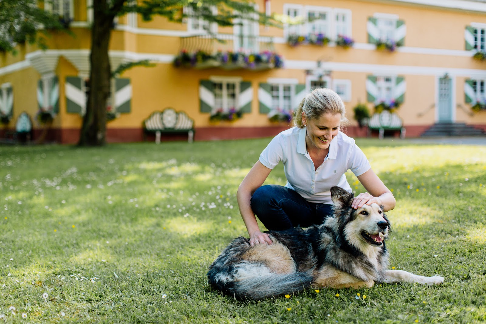 VetChiro Digel - Tierärztliche Praxis für Chiropraktik und Physiotherapie