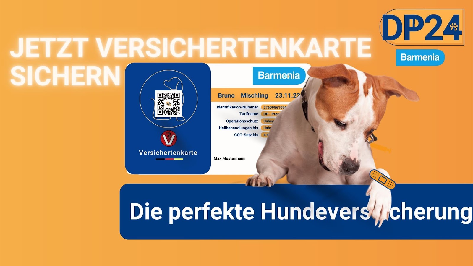 Vetprotect24 in Köln – Praxisfoto 2