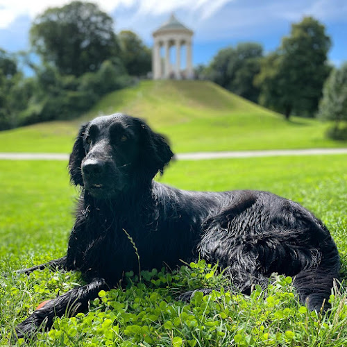 WauMiau Tierarztpraxis für Verhaltenstherapie und Hundeschule - Dr. med. vet. Stefanie Sprauer