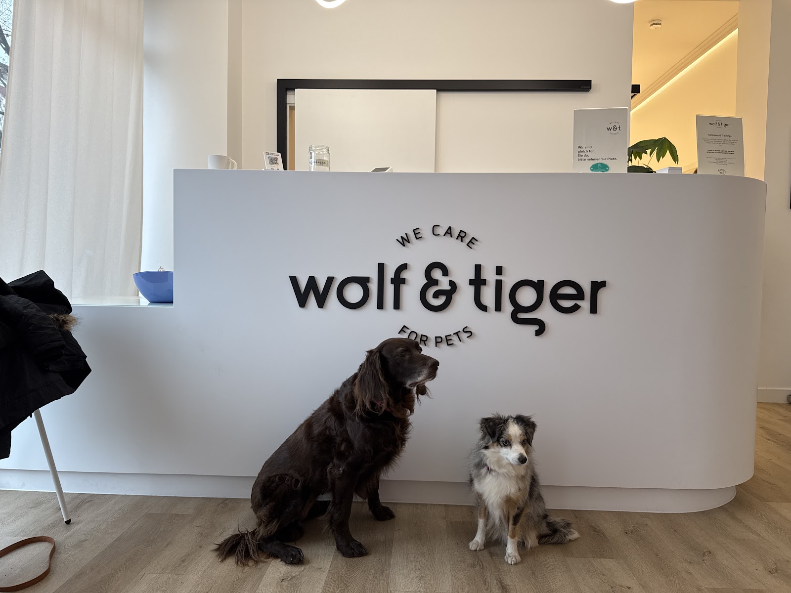Wolf & Tiger Tierarztpraxis Berlin Breslauer Platz in Berlin – Praxisfoto 1