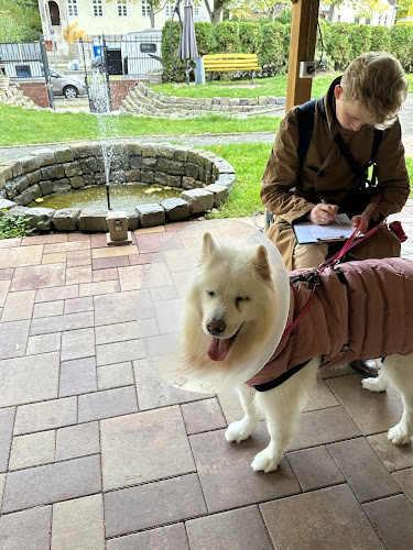 Augen-Tierarztpraxis Dr. Allgoewer