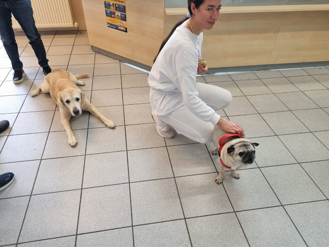 Dr. med.vet. Annabelle Culas