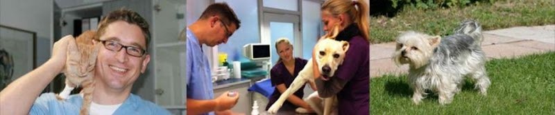 Dr.med.vet. Rasso Mantel Tierarzt