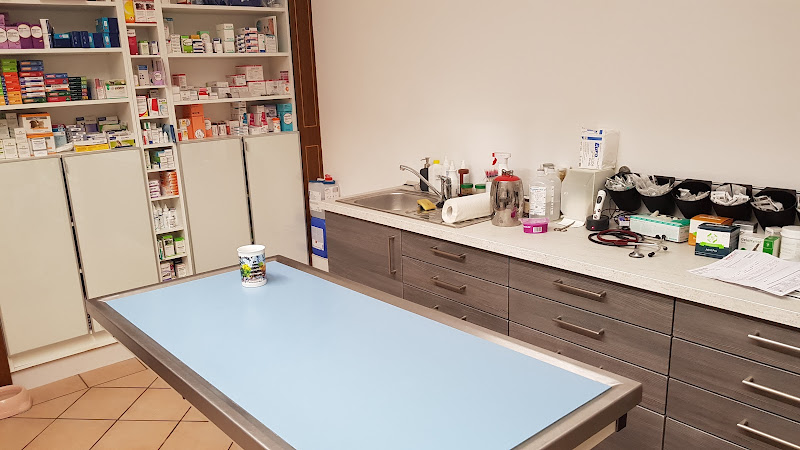 Dr.med.vet. Susanne Röhrl Tierärztin