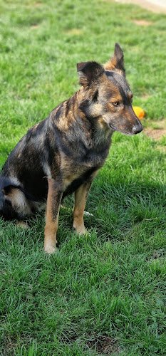 Dr.med.vet. Waltraud Weinzierl Tierärztin