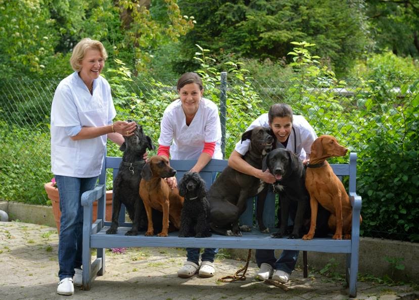 Kleintierklinik München Riem - Dres. med. vet. Lutz