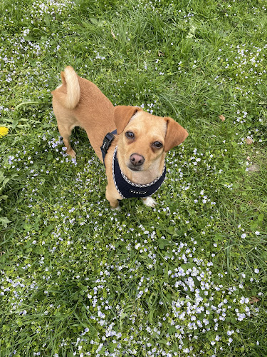 Tierarzt Maul & Herget München, Tierarztpraxis Dr. Maul + Dr. Herget