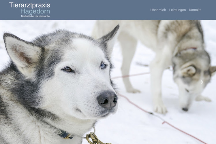 Tierärztliche Hausbesuche - Dr. Caroline Hagedorn