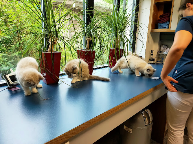 Tierarztpraxis Denzler-Schaidhammer GmbH