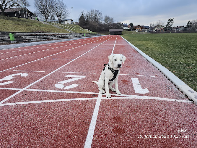 Tierarztpraxis Dres. Mäusl