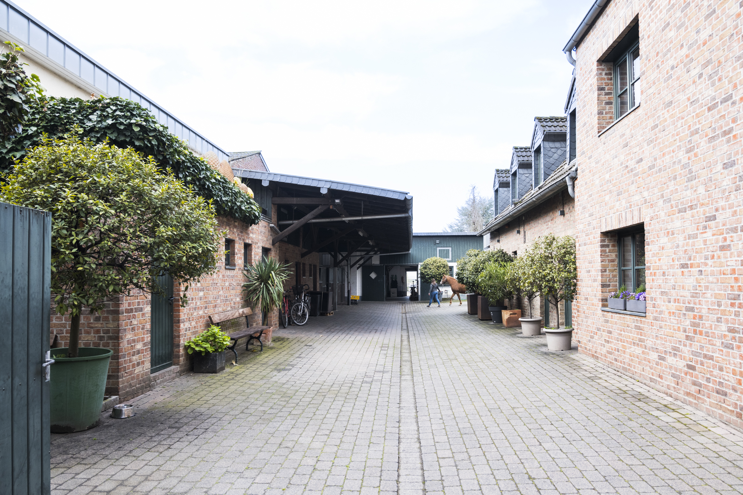 TIERARZTPRAXIS KÖLN-LANGEL GmbH