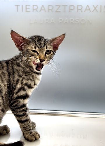 Tierarztpraxis Laim Laura Parson