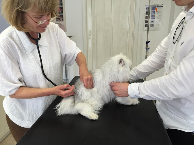 Tierarztpraxis München Nord Freimann - Elisabeth Kania