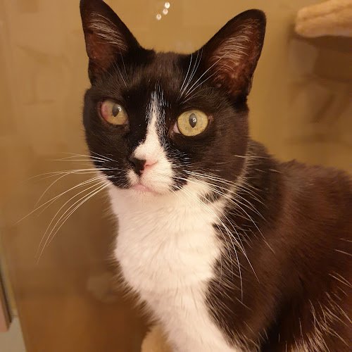 Tierarztpraxis Solln