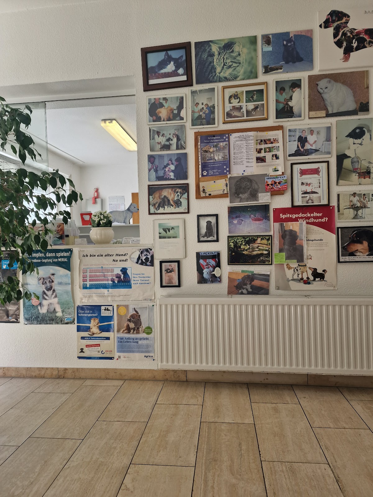 Zbigniew Mech Tierarzt in Köln – Praxisansicht